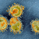 Illustration for article titled Hydroxychloroquine Treatment Regimen Origin